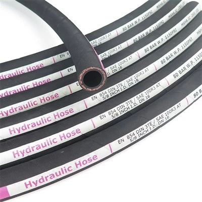 Din En854 3te Or Sae 100 R3