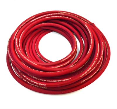 Steam Hose